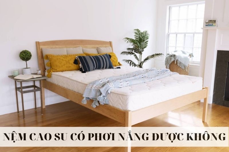 nem cao su co phoi nang duoc khong