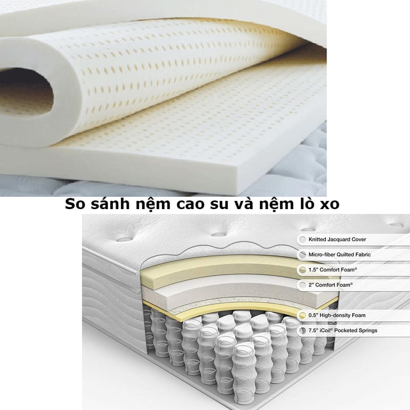 so sanh nem lo xo va nem cao su