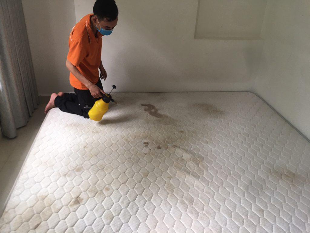 đệm không được vệ sinh gây ảnh hưởng gì